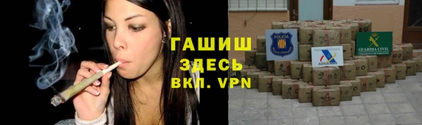 сатива Гусев