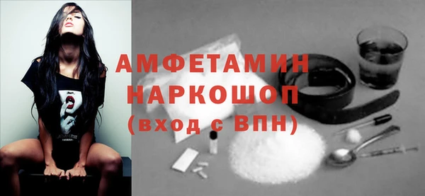 сатива Гусь-Хрустальный