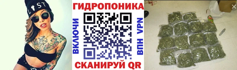 Канабис Amnesia  Сургут 
